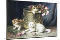 Giclee Print