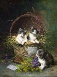 Kittens at Play-Leon-charles Huber-Framed Premier Image Canvas