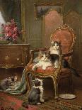 Kittens at Play-Leon-charles Huber-Premier Image Canvas