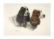 Premium Giclee Print