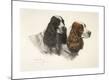 Premium Giclee Print