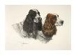 Premium Giclee Print