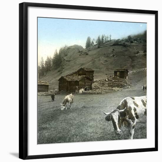 Photographic Print, , large
