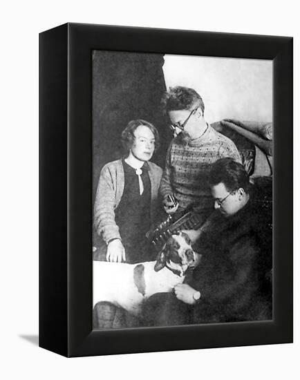 Leon Trotsky and His Family, Alma Ata, USSR, 1928-null-Framed Premier Image Canvas