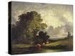 Stretched Canvas Print