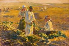 Marsh Marigolds, 1909 (Oil on Canvas)-Leon Wyczolkowski-Mounted Giclee Print