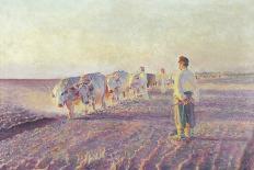 Ploughing in the Ukraine, 1892 (Oil on Canvas)-Leon Wyczolkowski-Giclee Print