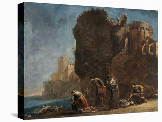 Stretched Canvas Print, , large