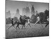 Photographic Print