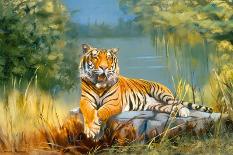 Siberian Tiger-Leonard Pearman-Stretched Canvas