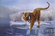 Tiger In The Indian Sunderbans-Leonard Pearman-Framed Art Print