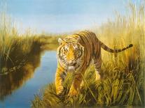 Tiger In The Indian Sunderbans-Leonard Pearman-Framed Art Print