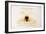 Leonardo 184 (drawing)-Ralph Steadman-Framed Giclee Print