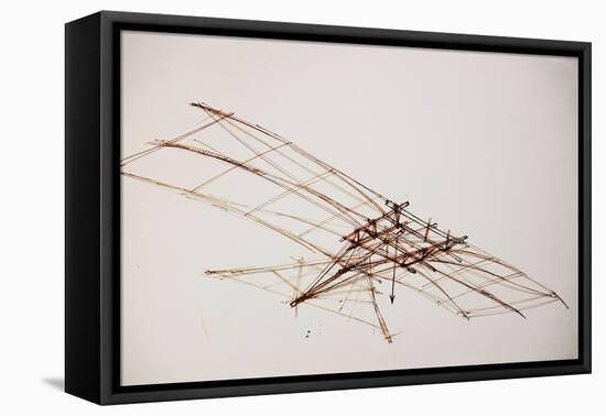 Leonardo 91 (drawing)-Ralph Steadman-Framed Premier Image Canvas