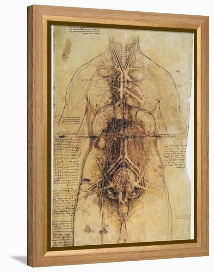 Leonardo: Anatomy, C1510-Leonardo da Vinci-Framed Premier Image Canvas