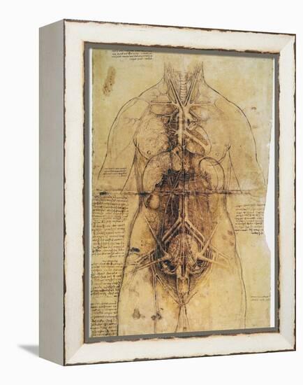 Leonardo: Anatomy, C1510-Leonardo da Vinci-Framed Premier Image Canvas