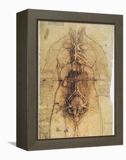 Leonardo: Anatomy, C1510-Leonardo da Vinci-Framed Premier Image Canvas