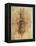 Leonardo: Anatomy, C1510-Leonardo da Vinci-Framed Premier Image Canvas