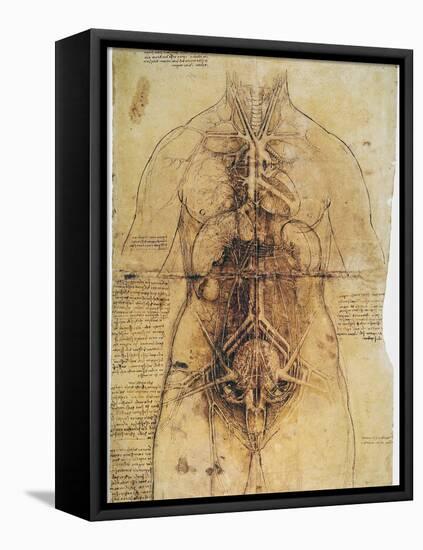 Leonardo: Anatomy, C1510-Leonardo da Vinci-Framed Premier Image Canvas