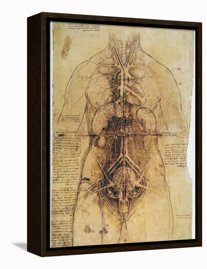 Leonardo: Anatomy, C1510-Leonardo da Vinci-Framed Premier Image Canvas