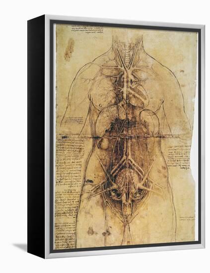 Leonardo: Anatomy, C1510-Leonardo da Vinci-Framed Premier Image Canvas