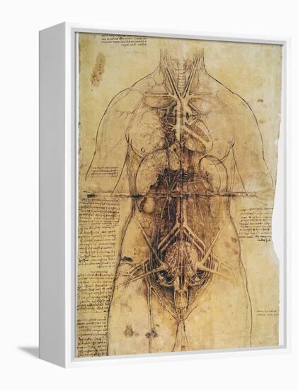 Leonardo: Anatomy, C1510-Leonardo da Vinci-Framed Premier Image Canvas