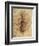 Leonardo: Anatomy, C1510-Leonardo da Vinci-Framed Giclee Print