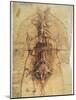 Leonardo: Anatomy, C1510-Leonardo da Vinci-Mounted Giclee Print