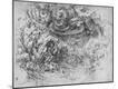 Giclee Print