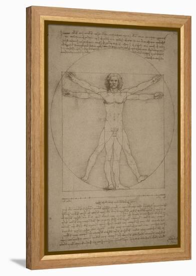 Leonardo Da Vinci's Vitruvian Man, Circa 1490-Stocktrek Images-Framed Stretched Canvas