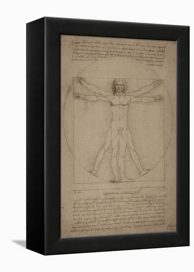 Leonardo Da Vinci's Vitruvian Man, Circa 1490-Stocktrek Images-Framed Stretched Canvas