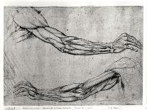 Study of Arms-Leonardo da Vinci-Giclee Print
