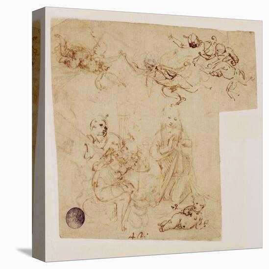 Stretched Canvas Print, , large