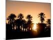 Premium Photographic Print