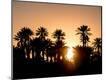 Photographic Print