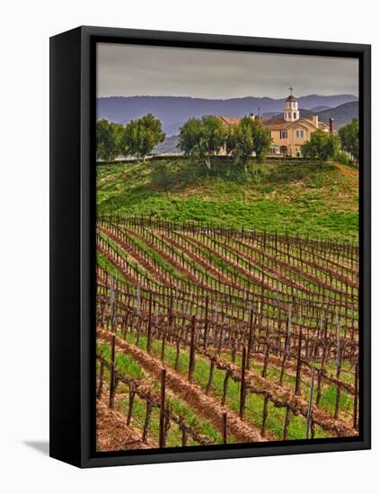 Leoness Cellars, Temecula, California, USA-Richard Duval-Framed Premier Image Canvas