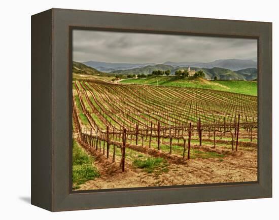 Leoness Cellars, Temecula, California, USA-Richard Duval-Framed Premier Image Canvas