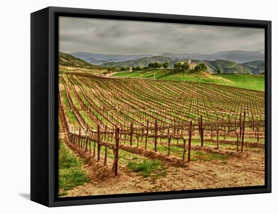 Leoness Cellars, Temecula, California, USA-Richard Duval-Framed Premier Image Canvas