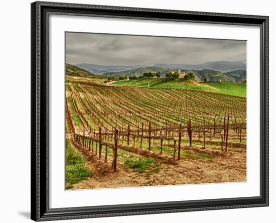 Leoness Cellars, Temecula, California, USA-Richard Duval-Framed Photographic Print