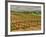 Leoness Cellars, Temecula, California, USA-Richard Duval-Framed Photographic Print