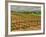 Leoness Cellars, Temecula, California, USA-Richard Duval-Framed Photographic Print