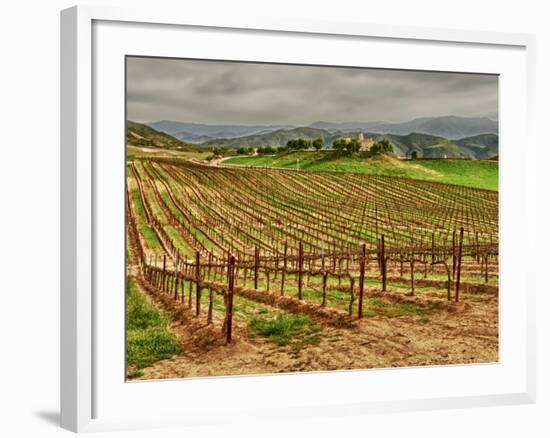 Leoness Cellars, Temecula, California, USA-Richard Duval-Framed Photographic Print