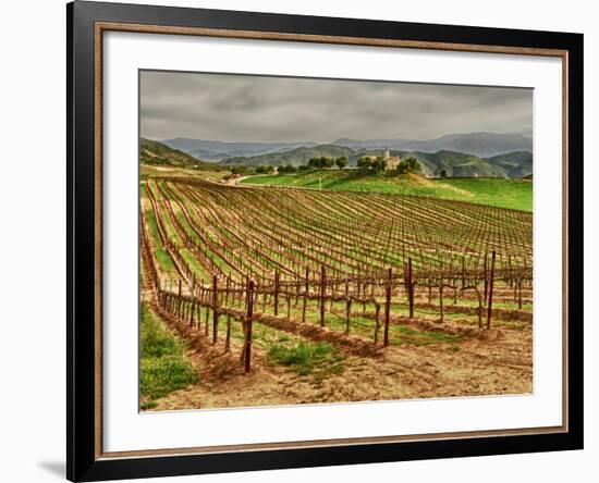 Leoness Cellars, Temecula, California, USA-Richard Duval-Framed Photographic Print