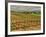 Leoness Cellars, Temecula, California, USA-Richard Duval-Framed Photographic Print