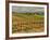 Leoness Cellars, Temecula, California, USA-Richard Duval-Framed Photographic Print