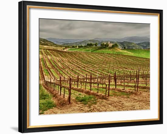 Leoness Cellars, Temecula, California, USA-Richard Duval-Framed Photographic Print