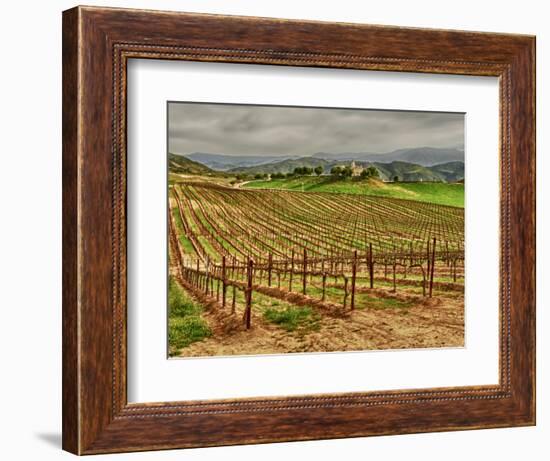 Leoness Cellars, Temecula, California, USA-Richard Duval-Framed Photographic Print