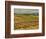 Leoness Cellars, Temecula, California, USA-Richard Duval-Framed Photographic Print