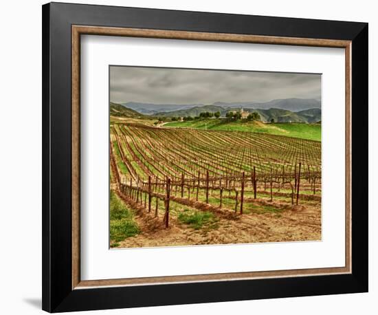 Leoness Cellars, Temecula, California, USA-Richard Duval-Framed Photographic Print