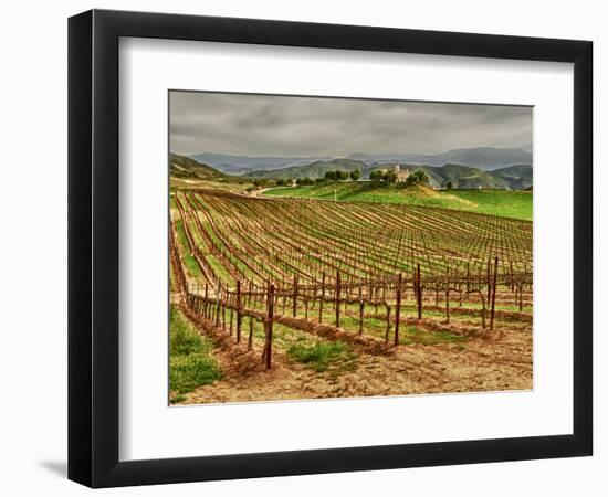 Leoness Cellars, Temecula, California, USA-Richard Duval-Framed Photographic Print